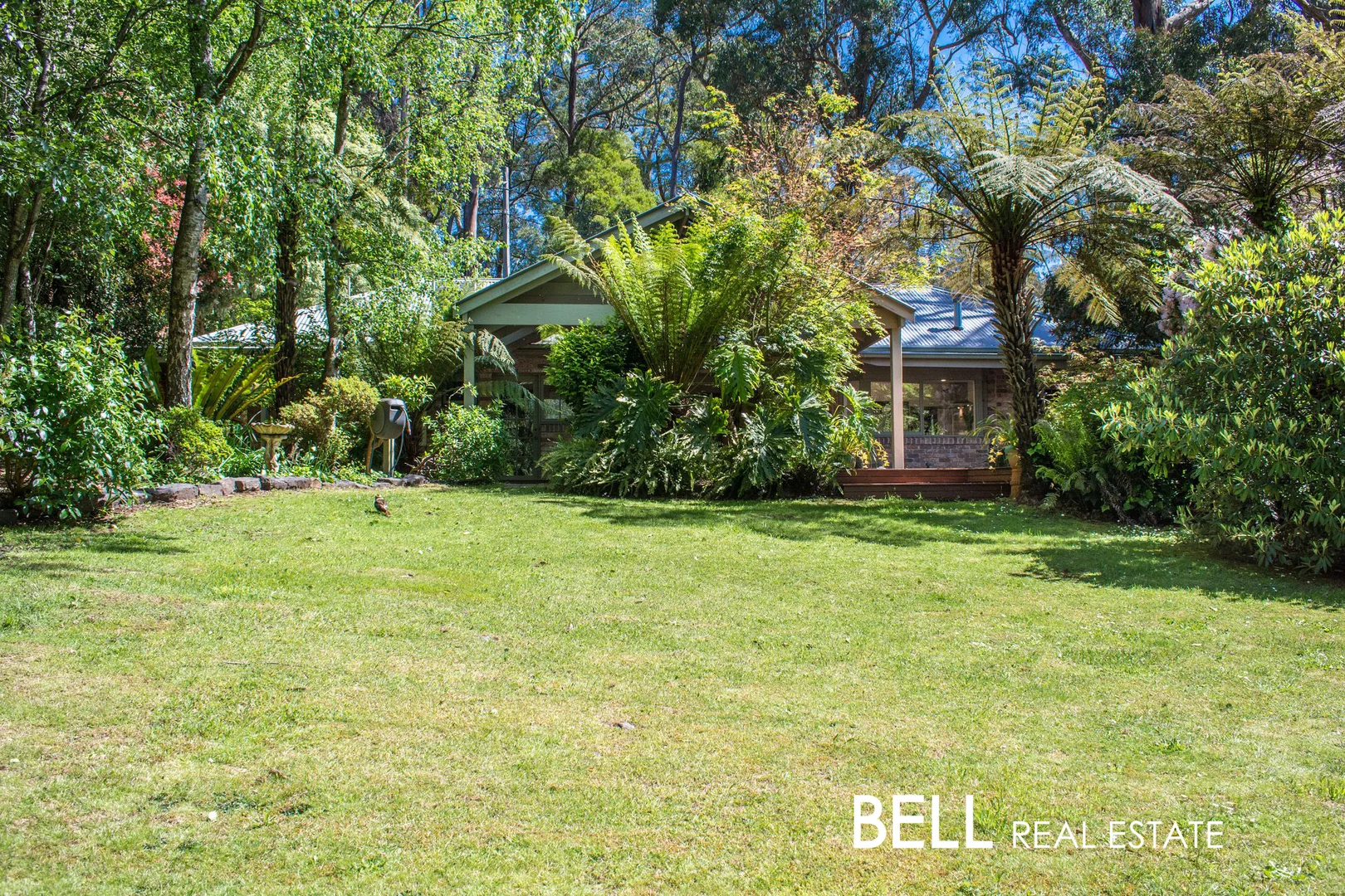 Additional image 20 of 5 Mount View Road, Ferny Creek VIC 3786