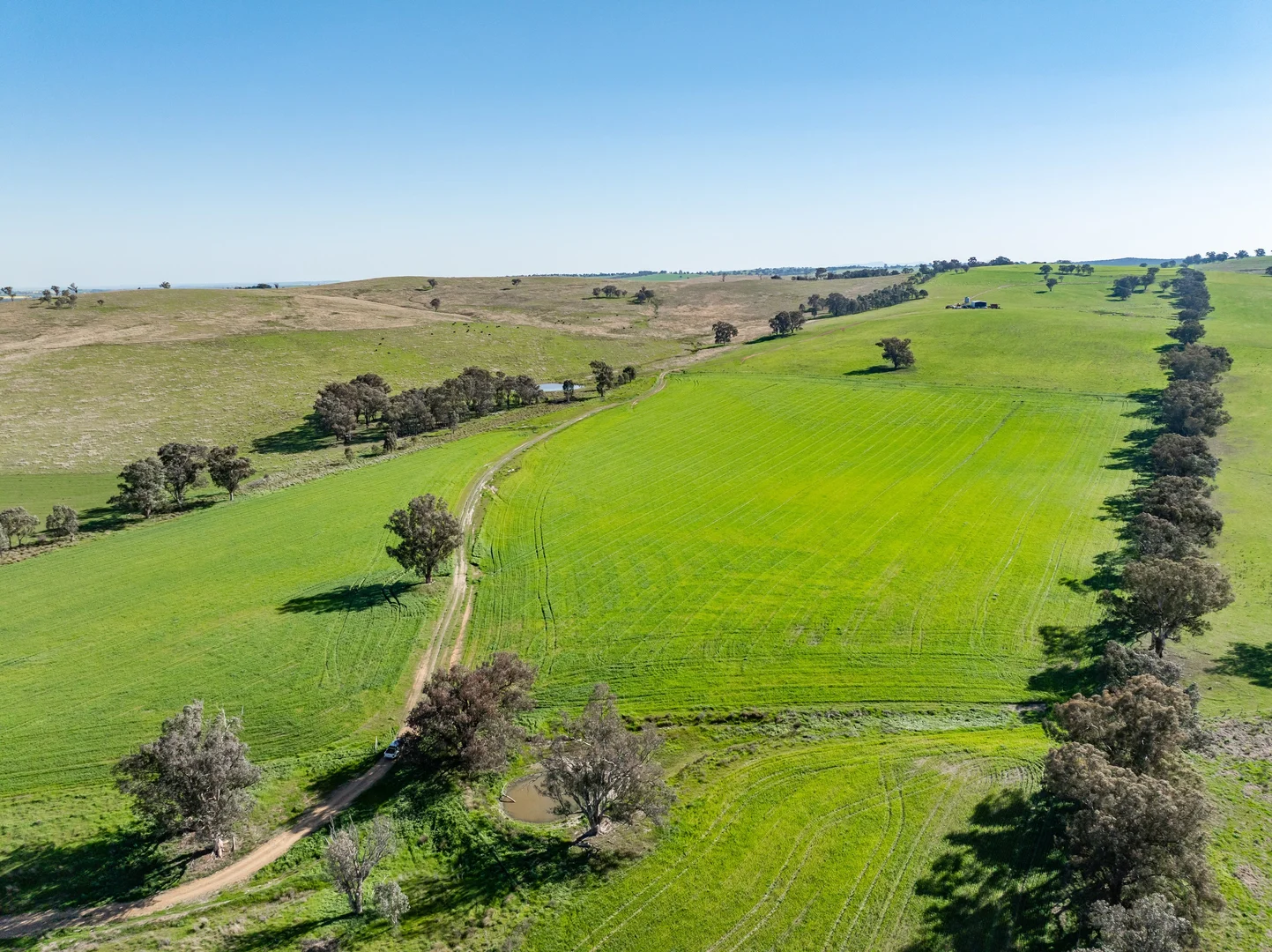 Additional image 20 of Bumbaldry Road, Greenethorpe NSW 2809