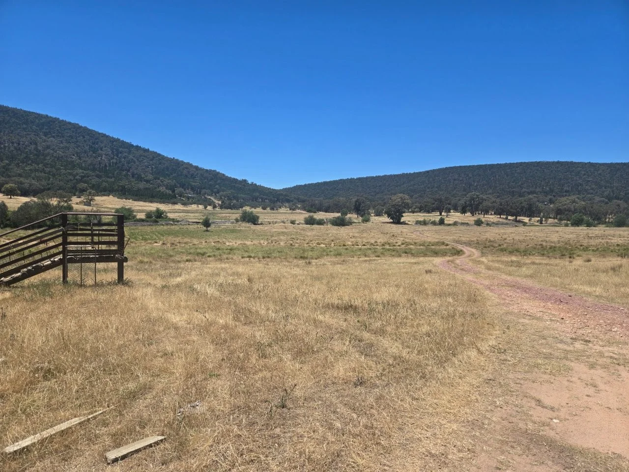 Additional image 23 of "Abercorn", 2154 Kangarooby Road, Gooloogong NSW 2805