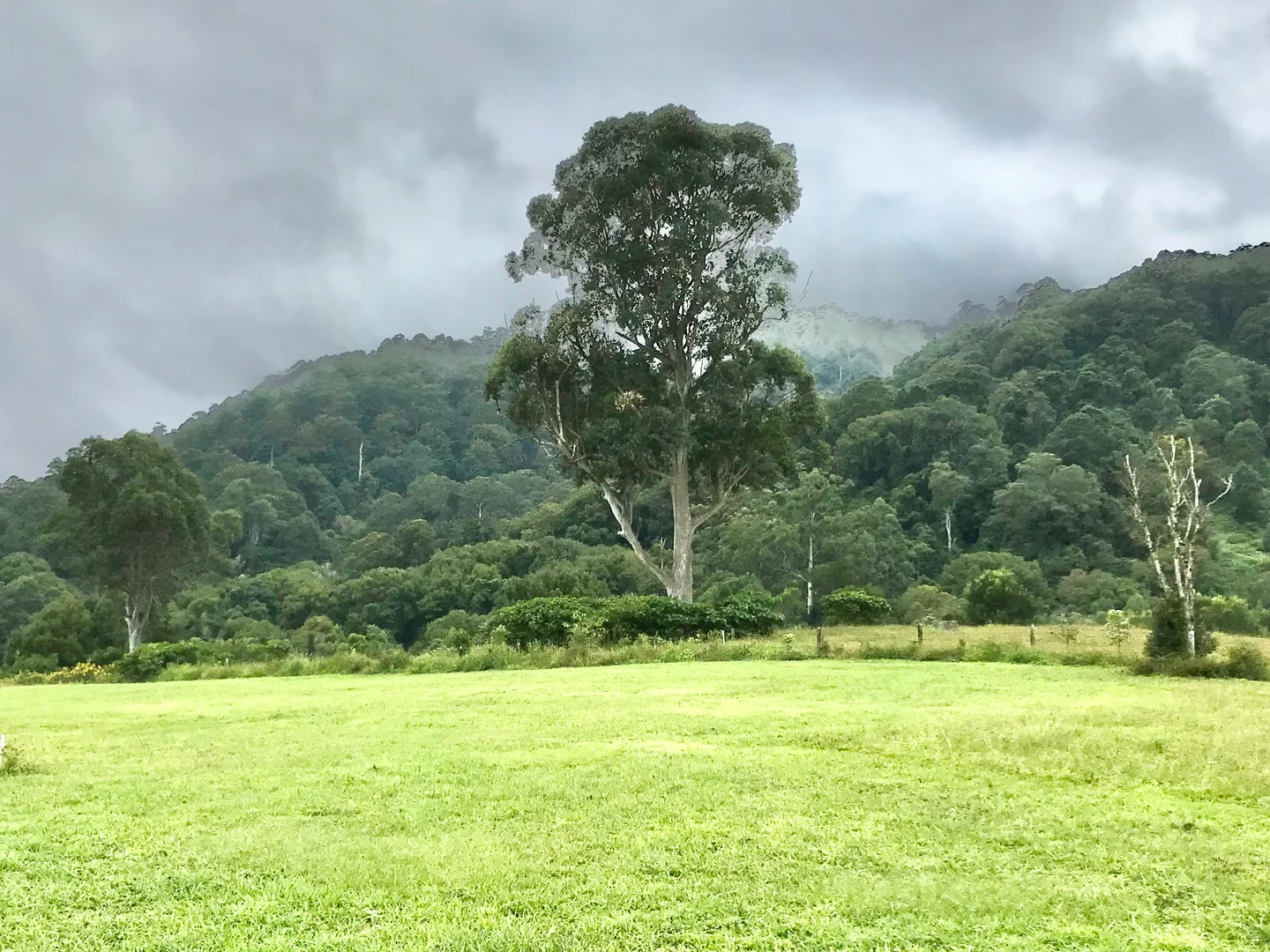 Additional image 6 of 17 Evelyn Way, Nimbin NSW 2480