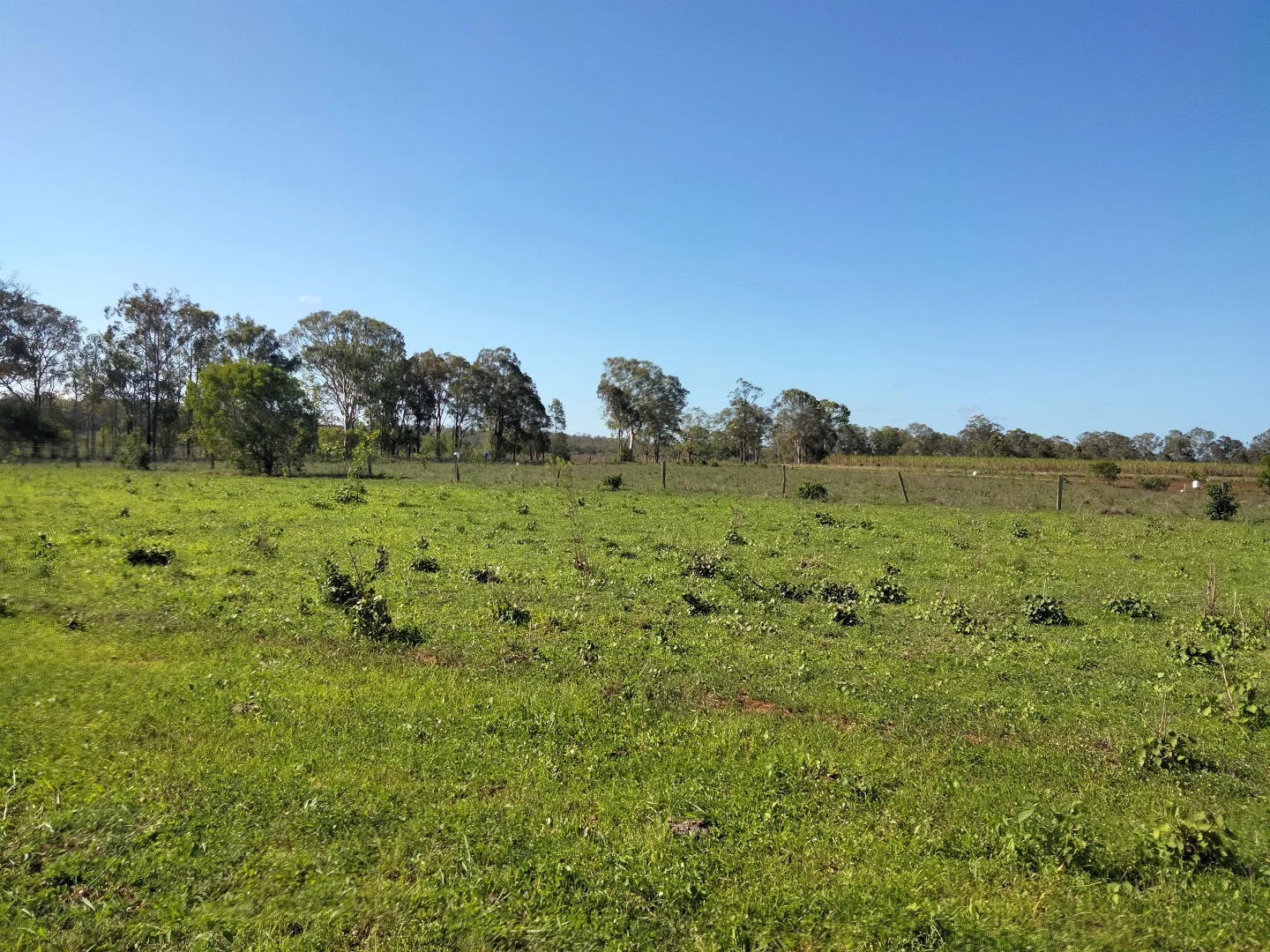 Additional image 72 of 2913 Rosedale Road, Yandaran QLD 4673