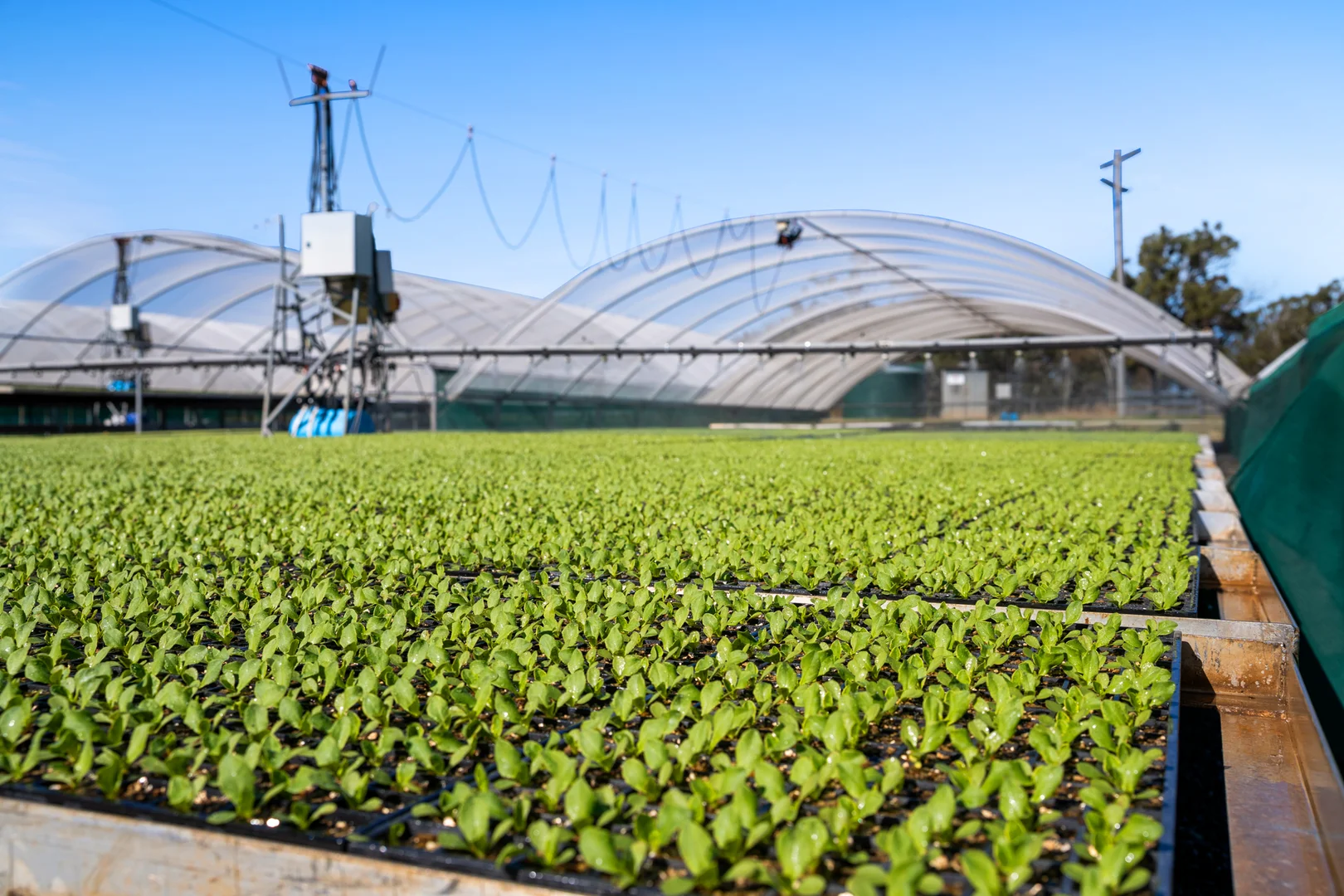 Additional image 6 of "Westview" 189 Toowoomba-Karara Road, Finnie QLD 4350