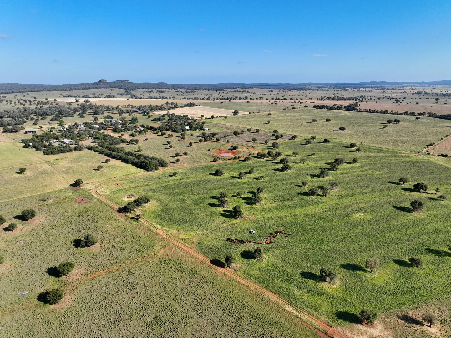 Additional image 44 of 1676 Willala Road, Boggabri NSW 2382