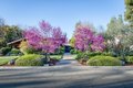 Additional image 2 of 3646 W Spruce Ave, Fresno, CA, 93711