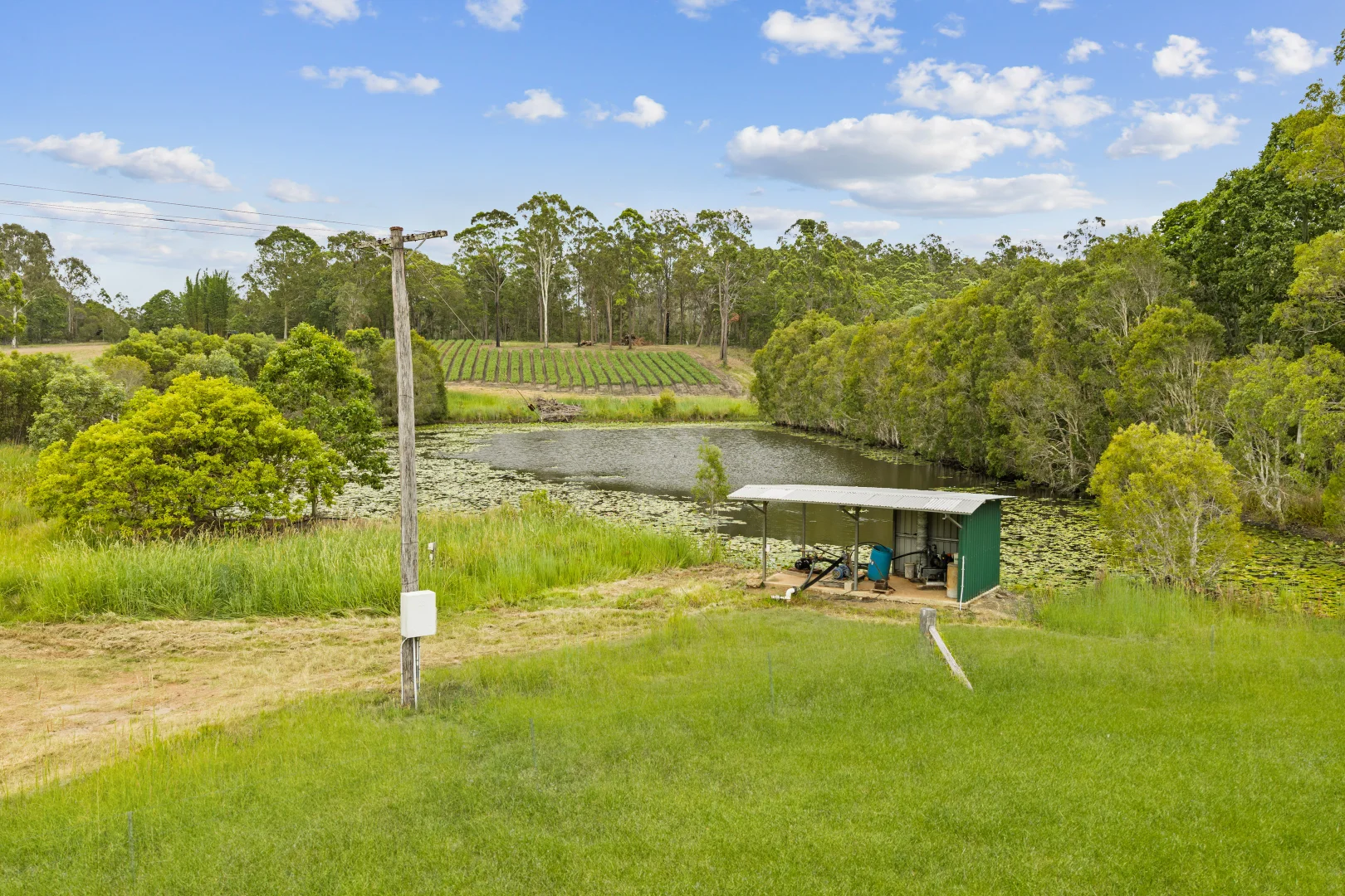 Additional image 11 of 1233 Anderleigh Road, Anderleigh QLD 4570