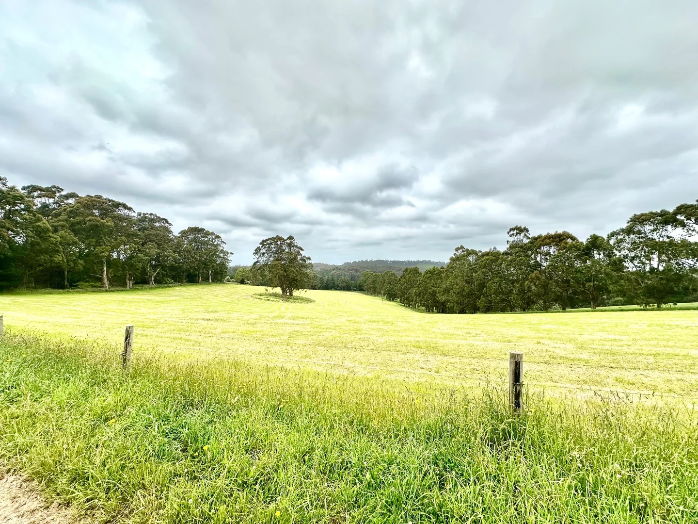 Additional image 7 of 655 Old Thorpdale Road, Mirboo North VIC 3871