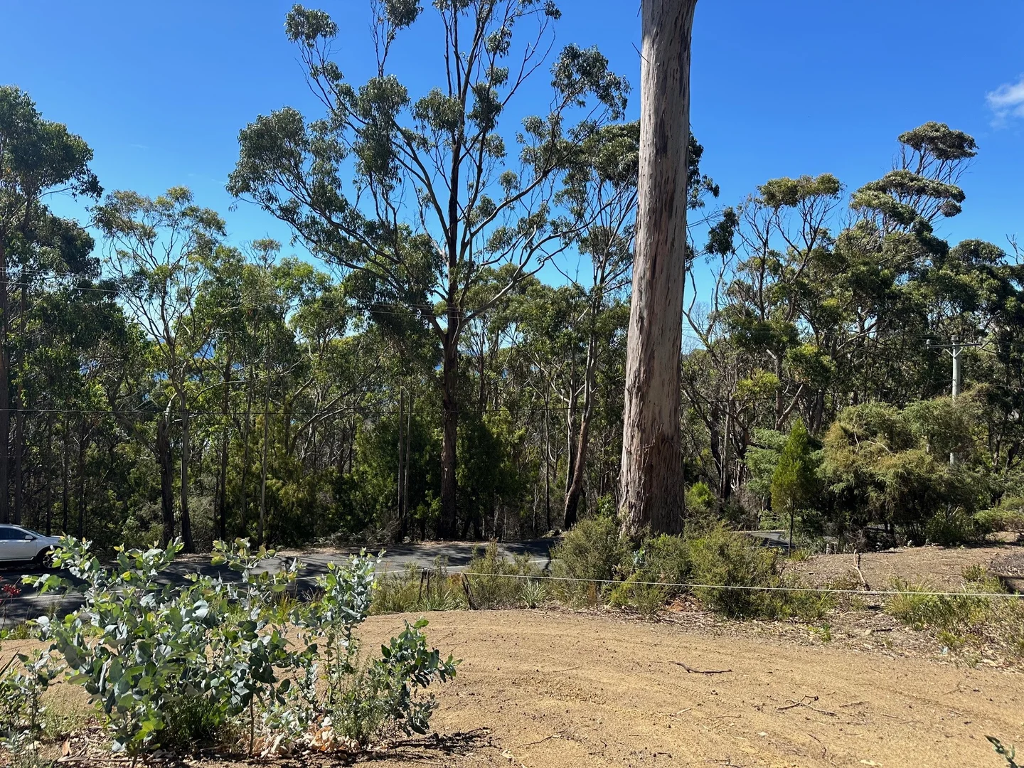 Additional image 13 of 142 Blowhole Road, Eaglehawk Neck TAS 7179