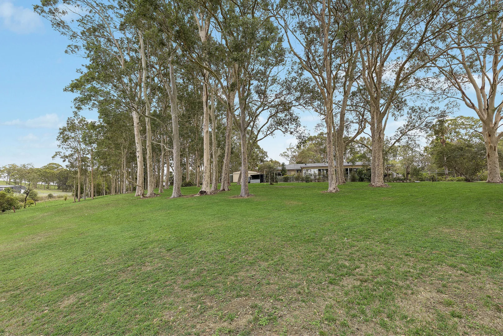 Additional image 12 of 65 Maitland Vale Road, Bolwarra Heights NSW 2320