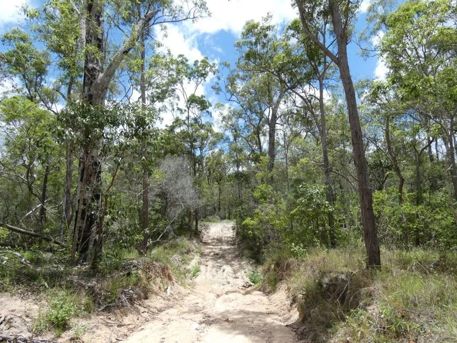 Additional image 21 of Lot 41 Moolyung Road, Waterloo QLD 4673