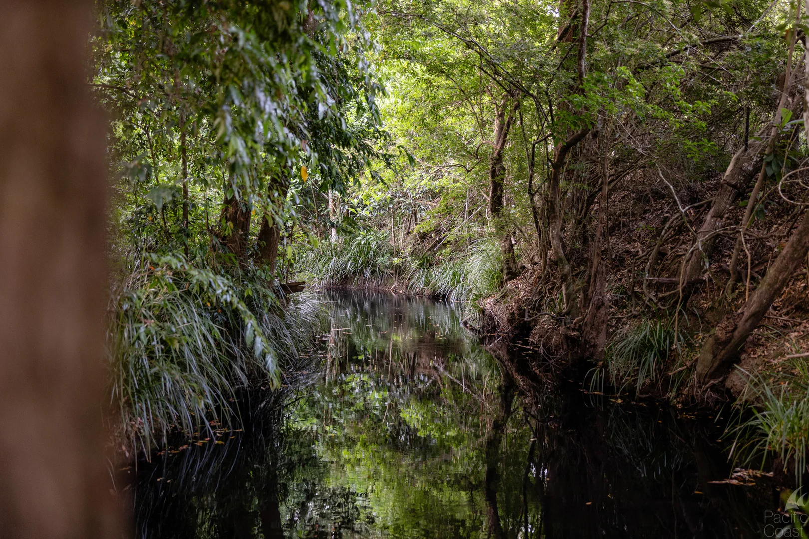 Additional image 24 of 34 Glacier Lane, Nabiac NSW 2312