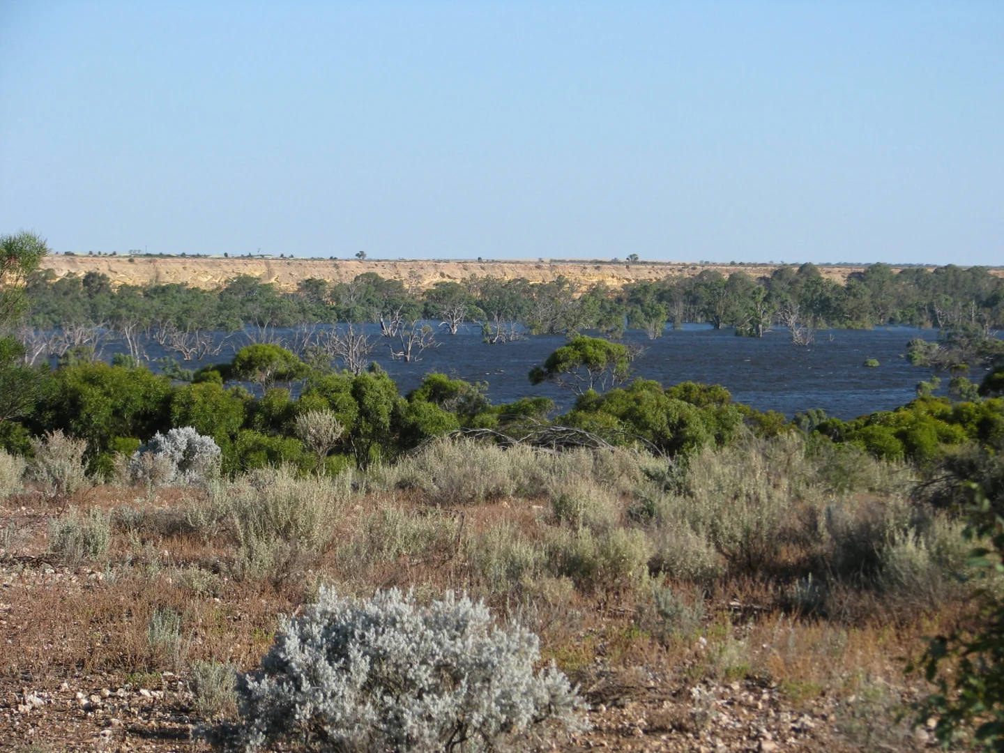 Additional image 7 of lot 1000 Merivale Street, Blanchetown SA 5357