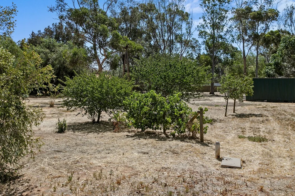 Additional image 32 of 54 Min Man Road, Manoora SA 5414