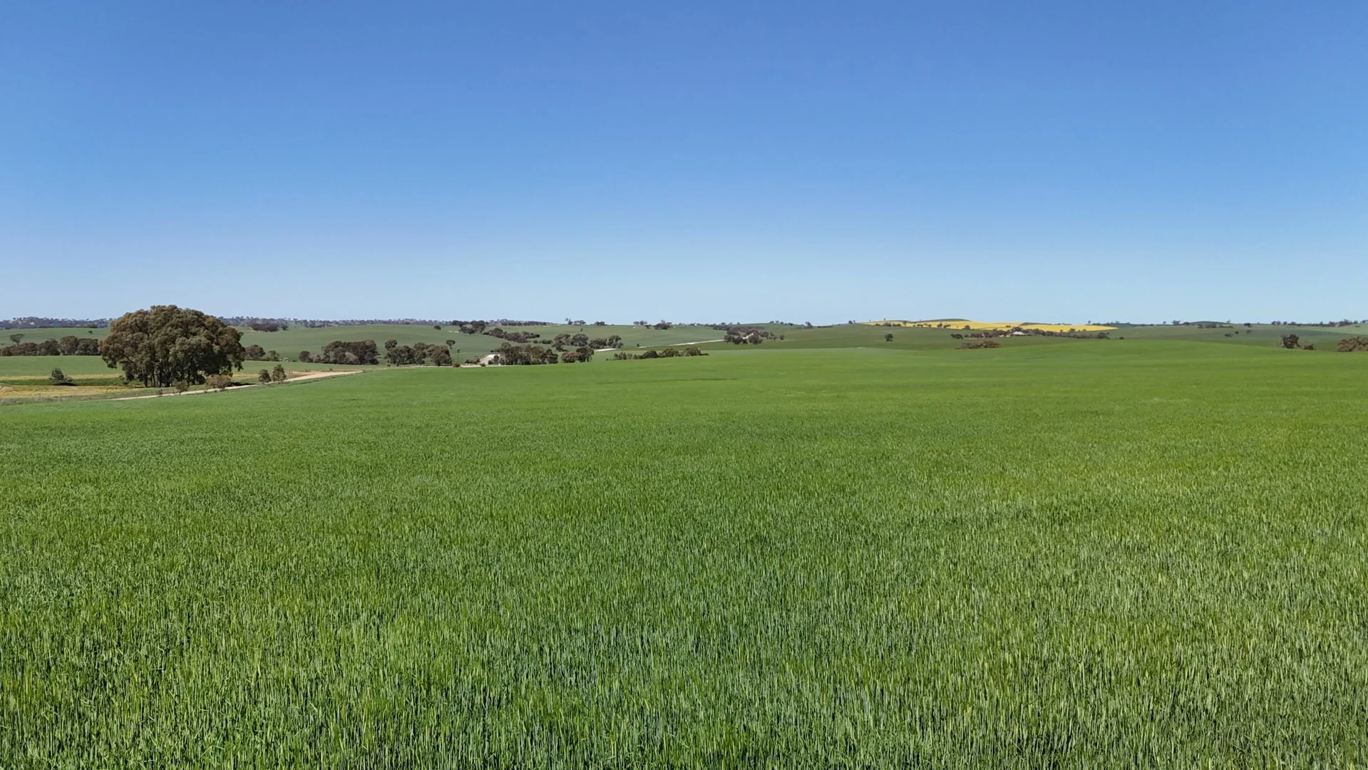 Additional image 8 of 'Ryans' Archie Road, Murray Town SA 5481