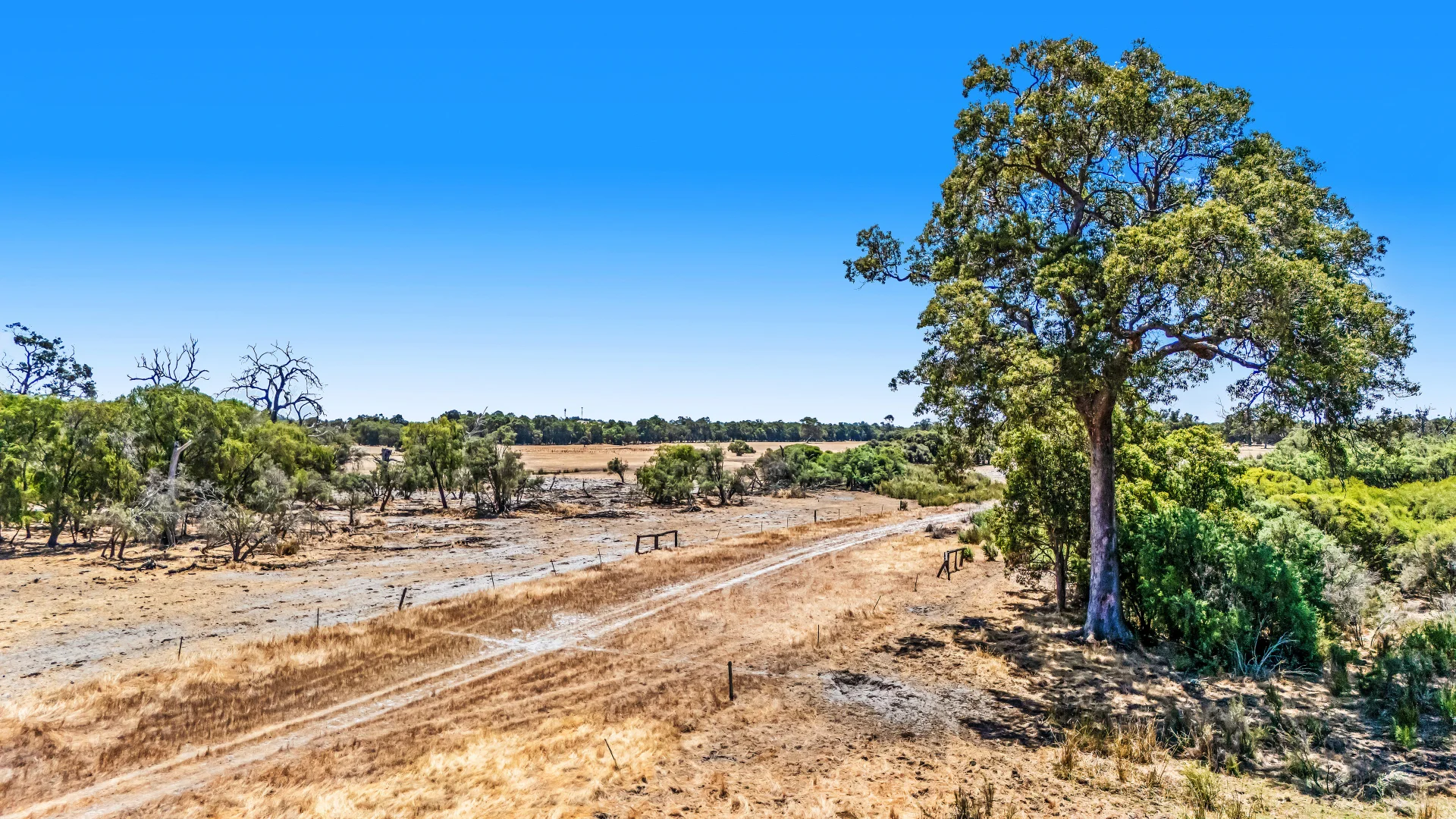 Additional image 27 of Lot 1 Jilley Road, Boyanup WA 6237