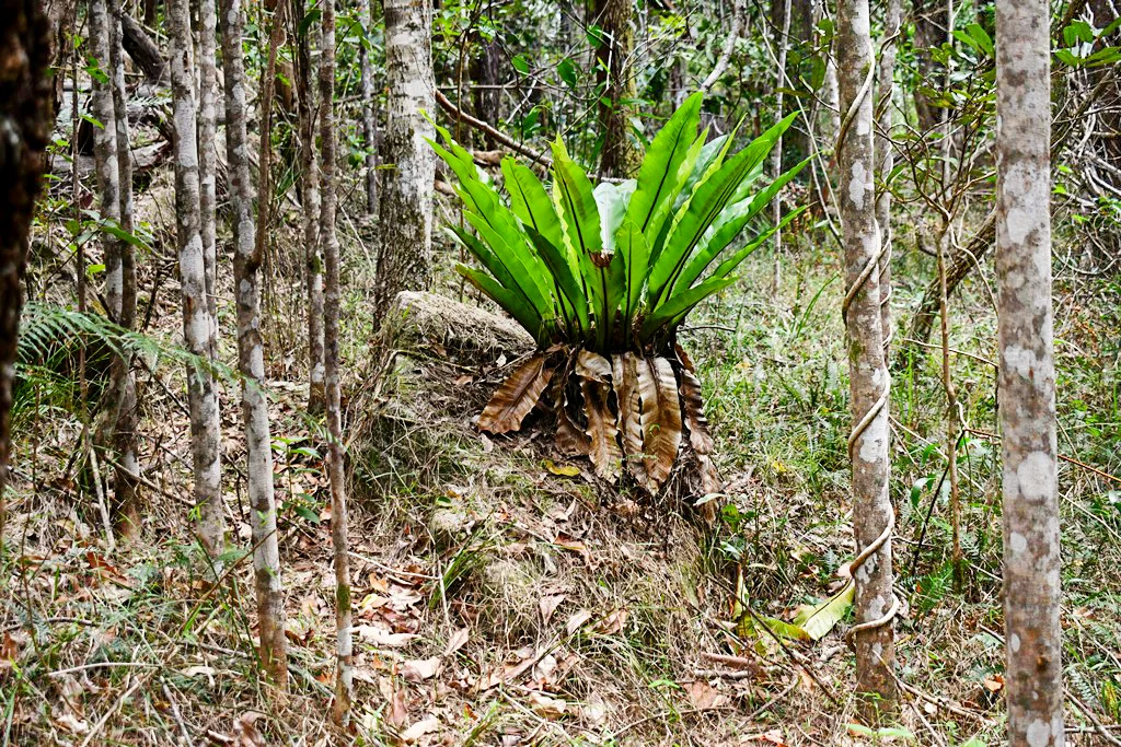 Additional image 19 of 293 Stewart Road, Coondoo QLD 4570