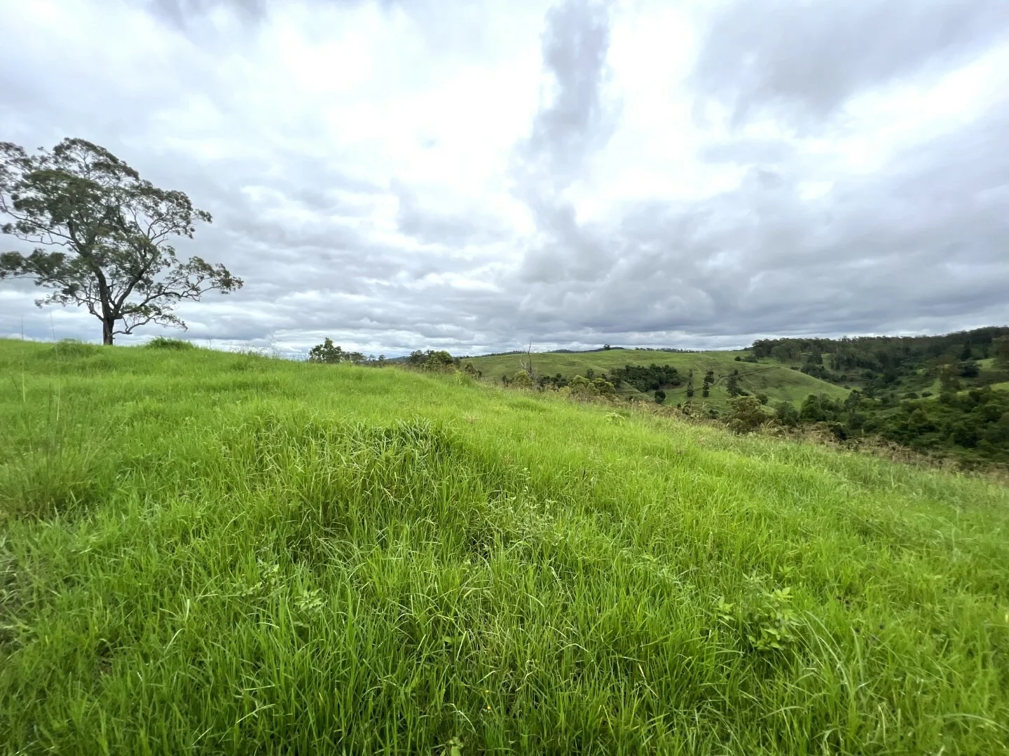 Additional image 41 of 59 Wyndham Road, Wyneden NSW 2474