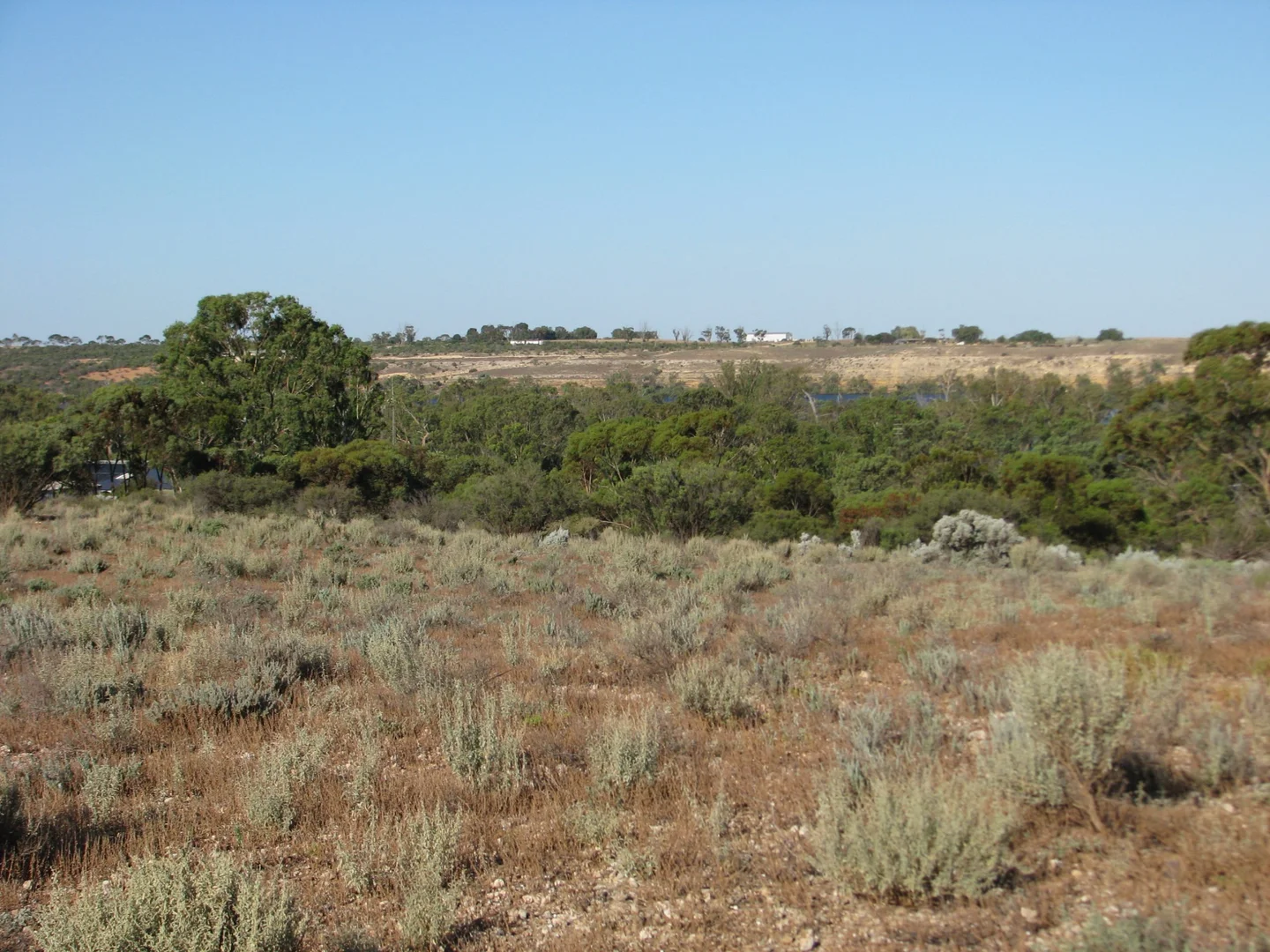 Additional image 9 of lot 1000 Merivale Street, Blanchetown SA 5357