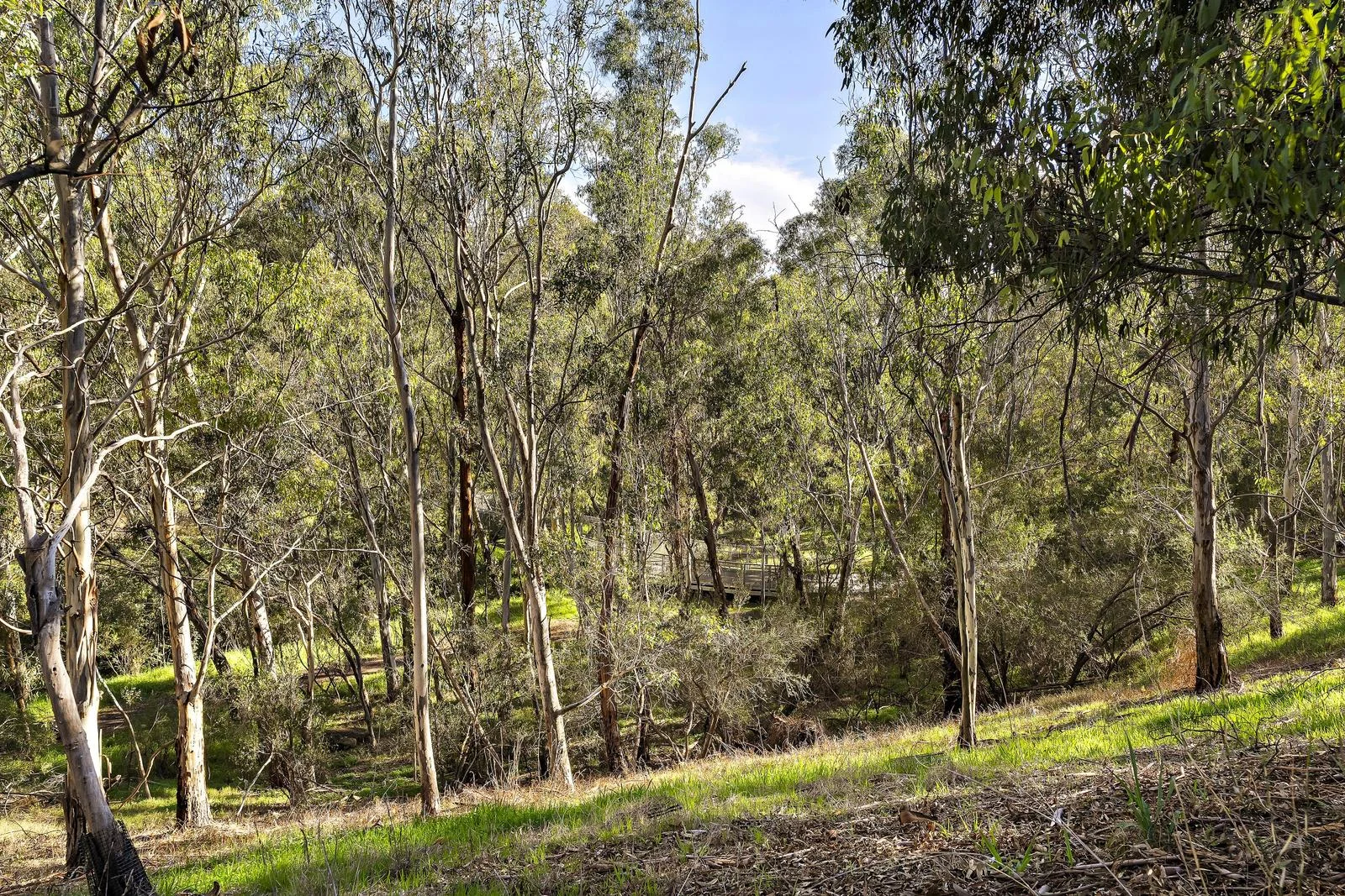 Additional image 19 of 29 & 29A Wimpole Crescent, Bellfield VIC 3081