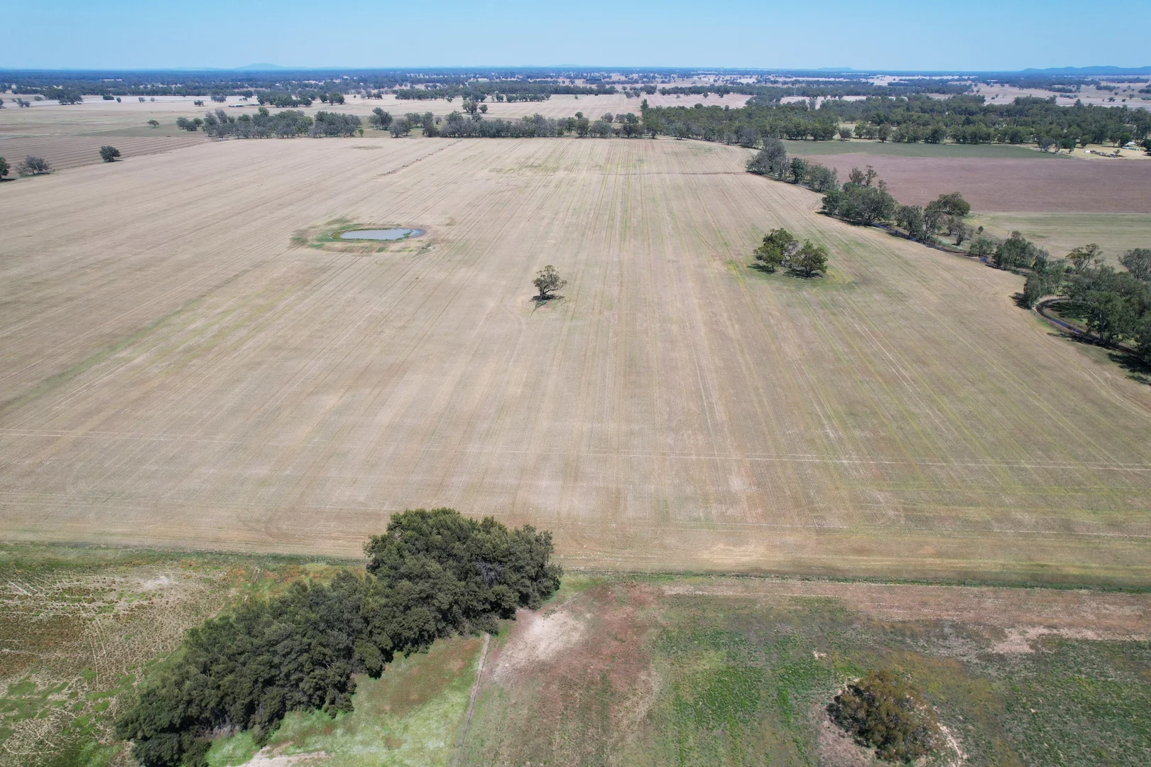 Additional image 30 of 2071 Yarrabandai Road, Bedgerabong NSW 2871