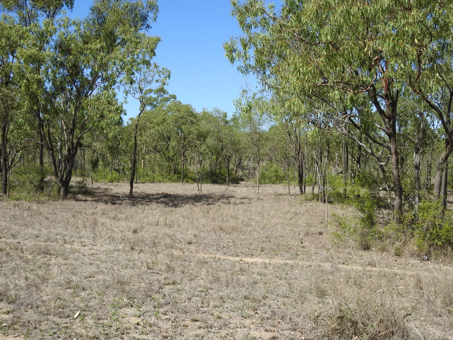 Additional image 16 of Broughton QLD 4820