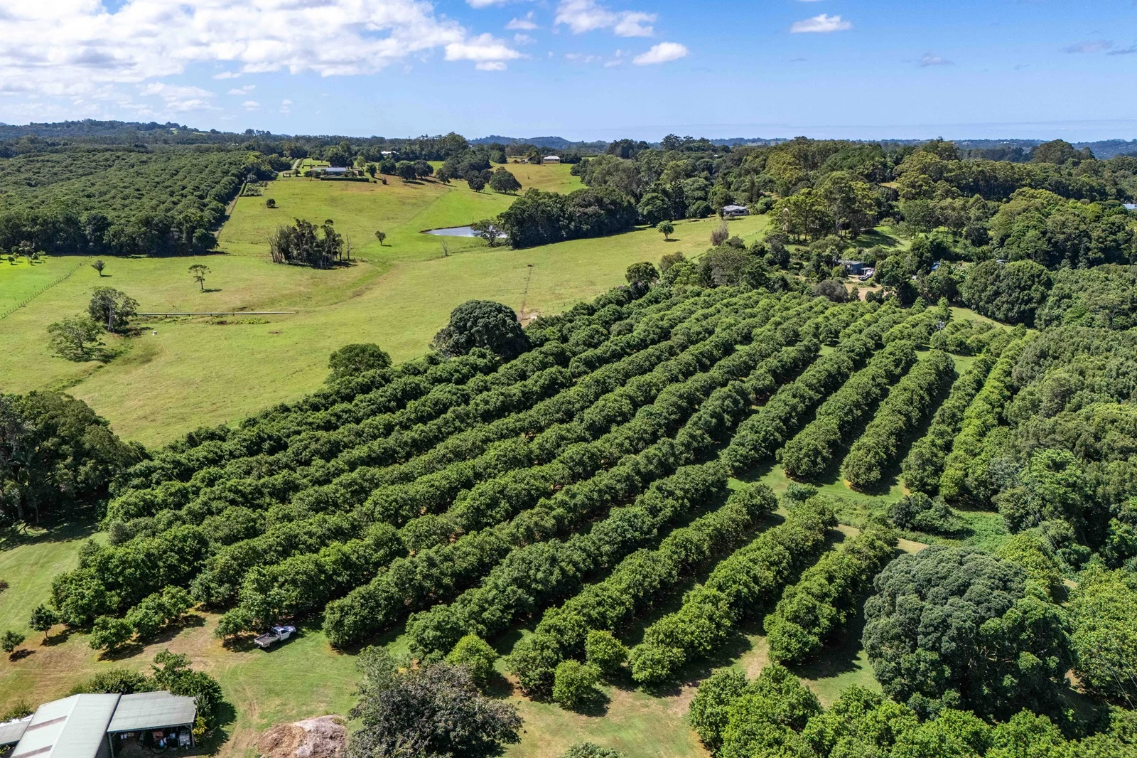 Additional image 19 of 301 Goremans Road, Eureka NSW 2480