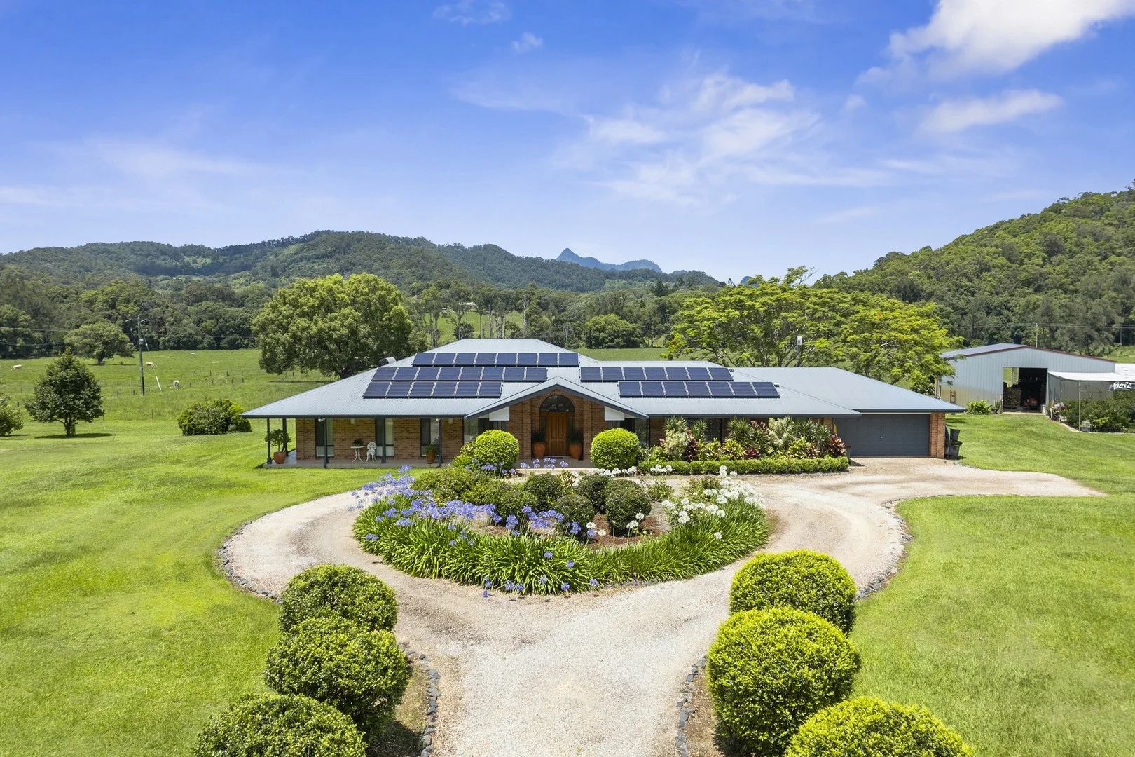 Additional image 6 of 981 Numinbah Road, Crystal Creek NSW 2484