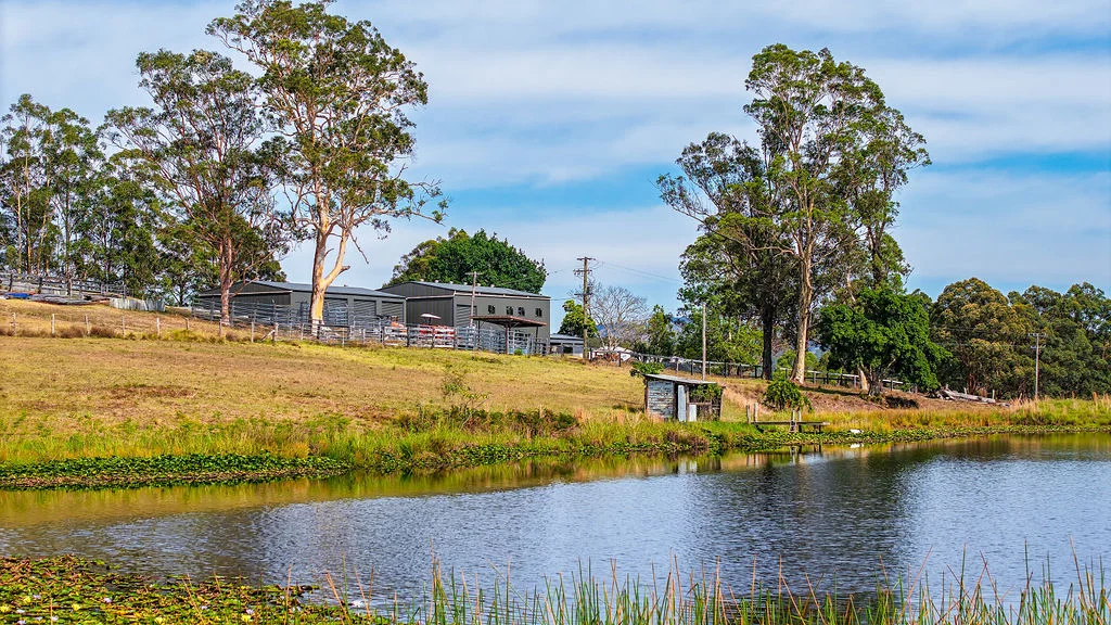 Additional image 44 of 857 Willina Road, Willina NSW 2423