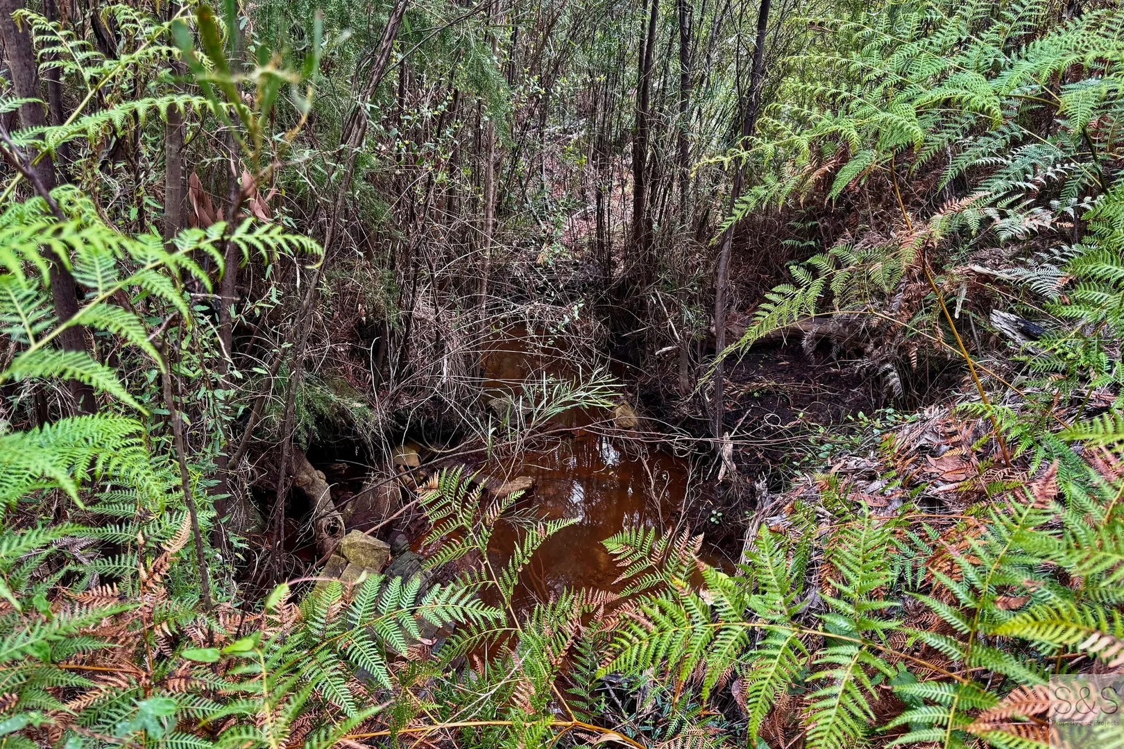 Additional image 6 of 678 Baxters Road, Karatta SA 5223