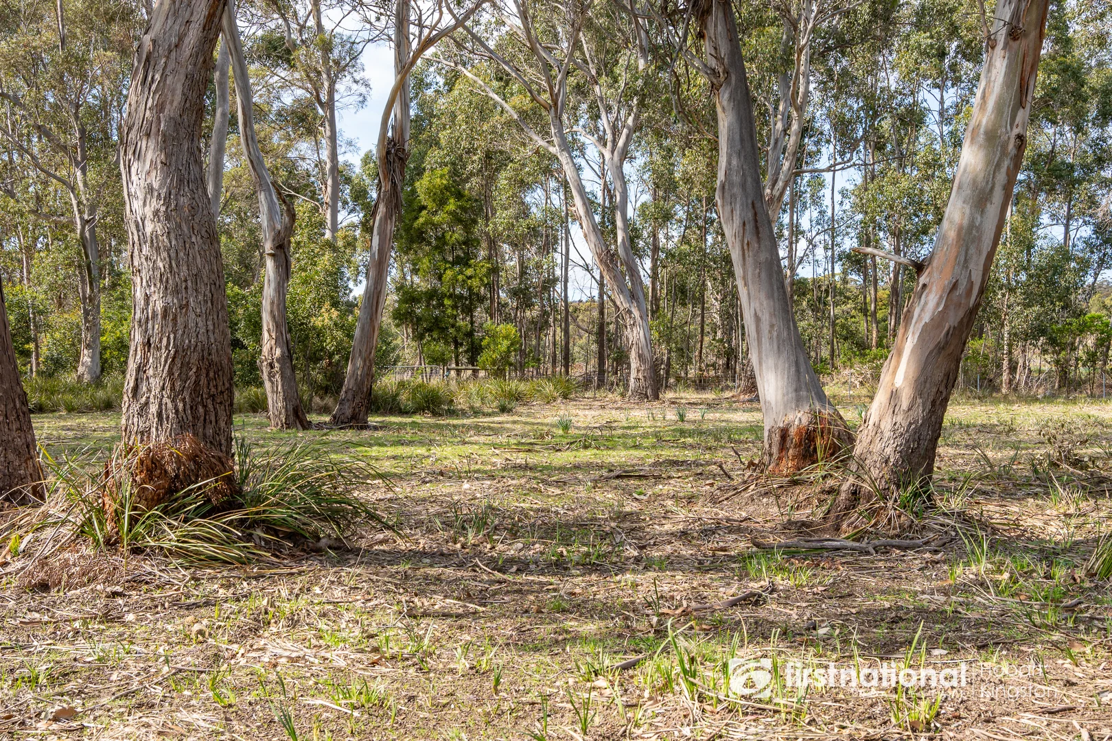 Additional image 18 of 1861 Bruny Island Main Road, Great Bay TAS 7150