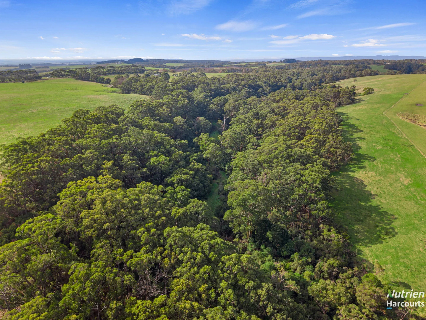 Additional image 4 of 201 Turrong Road, Cooriemungle VIC 3268