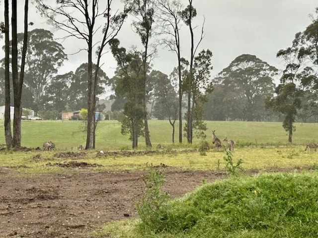 Additional image 9 of 1, 22 Beatties Road, Trentham VIC 3458