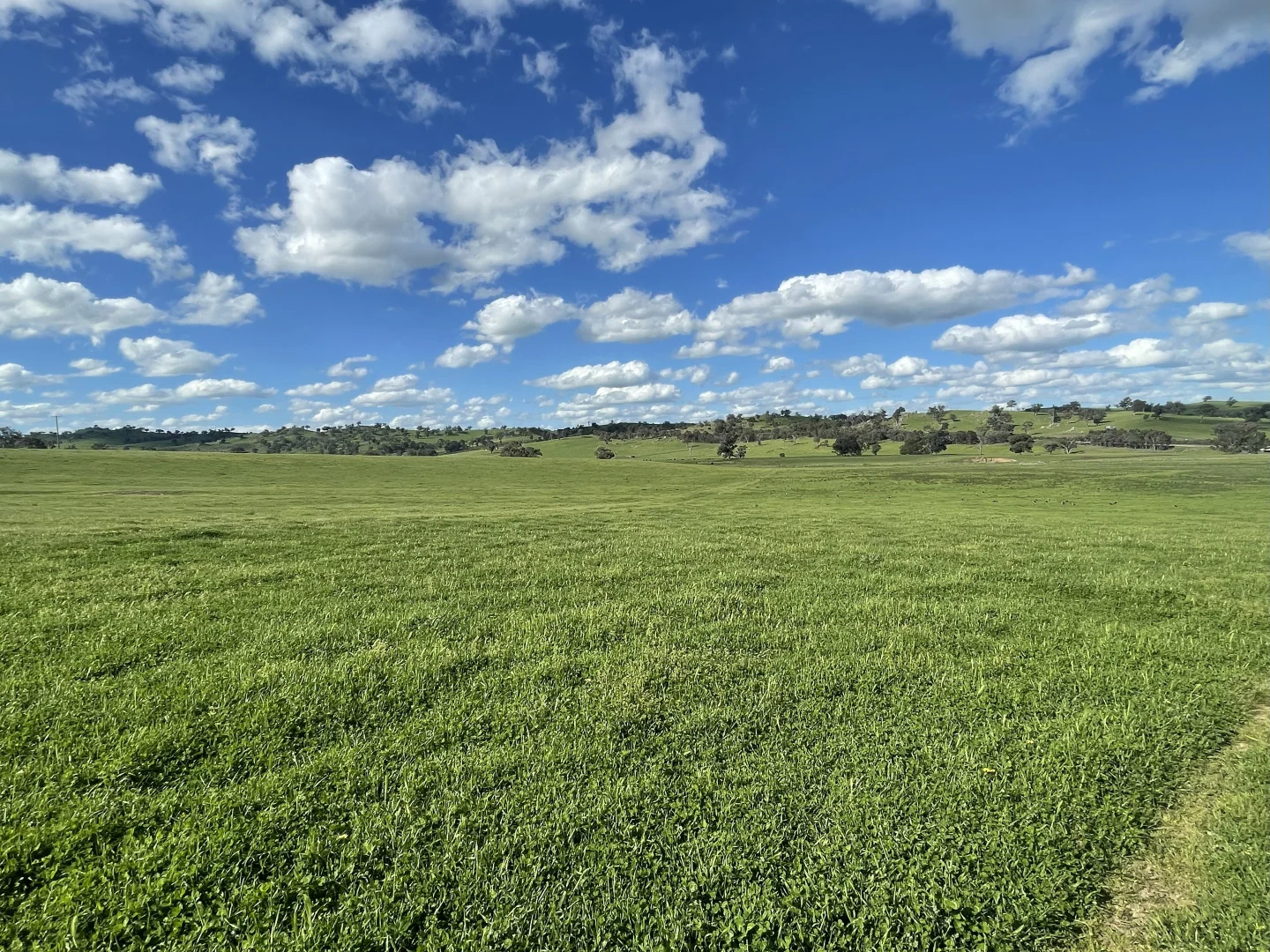 Additional image 5 of Lot 70 Cooney's Creek Road, Jugiong NSW 2726