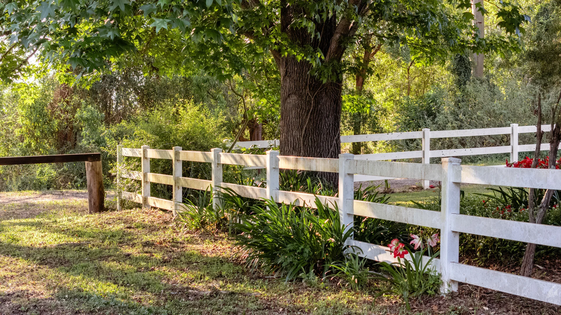 Additional image 9 of 34 Glacier Lane, Nabiac NSW 2312