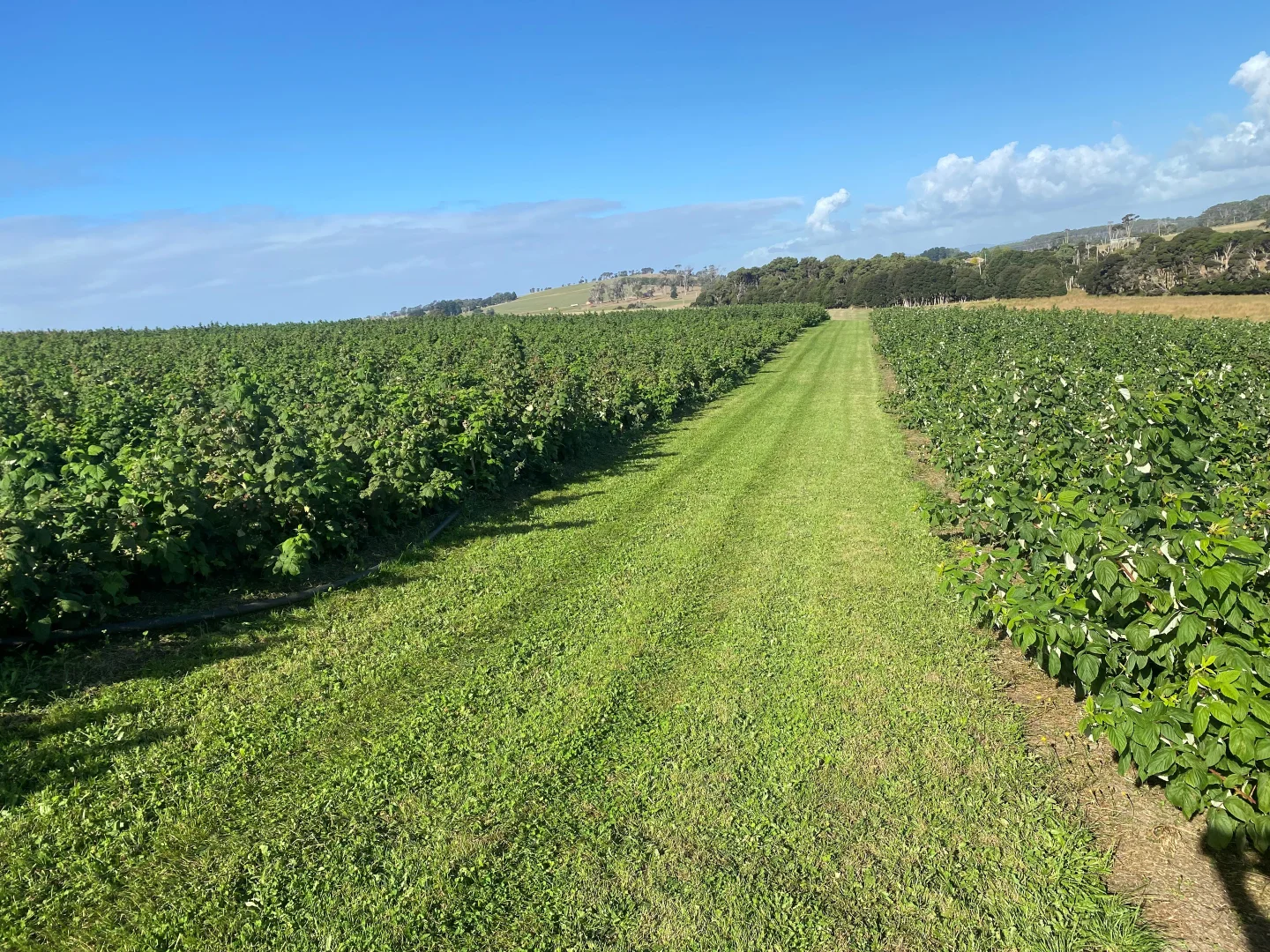 Additional image 10 of Lot 1 Blacks Road, Wesley Vale TAS 7307