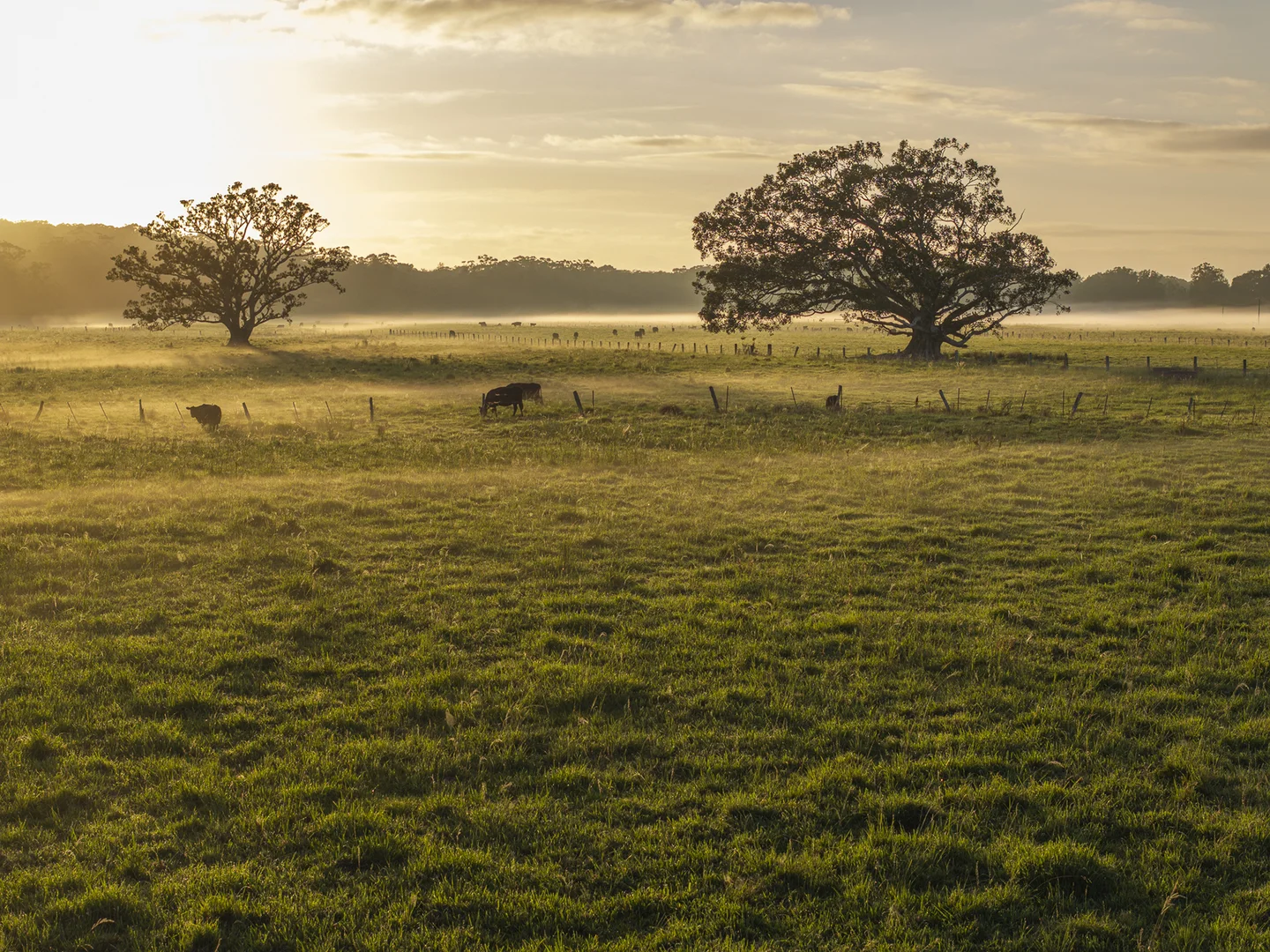 Additional image 10 of 33 River Street, Repton NSW 2454