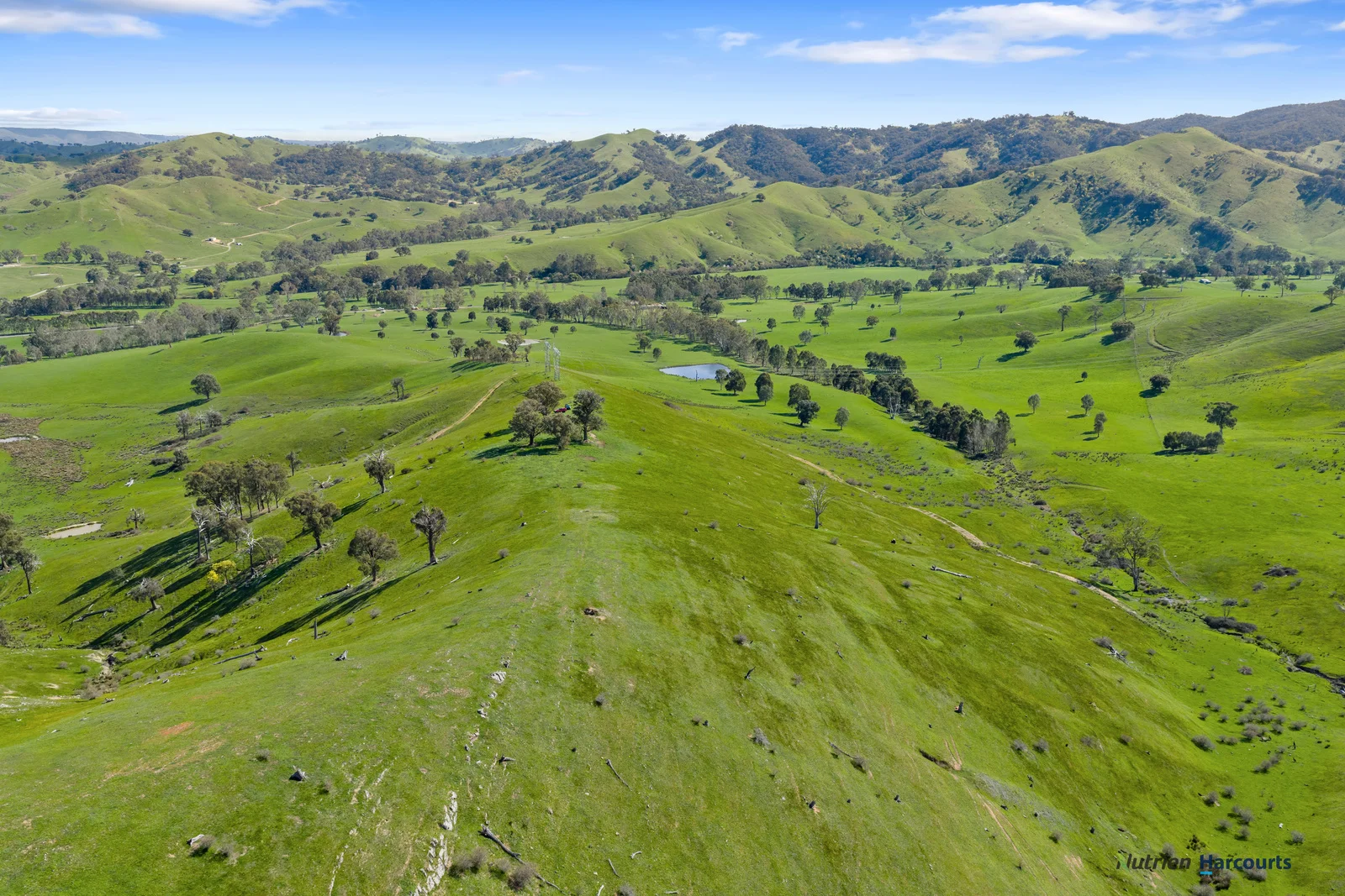 Additional image 7 of 53 Halls Outlet Road, Alexandra VIC 3714