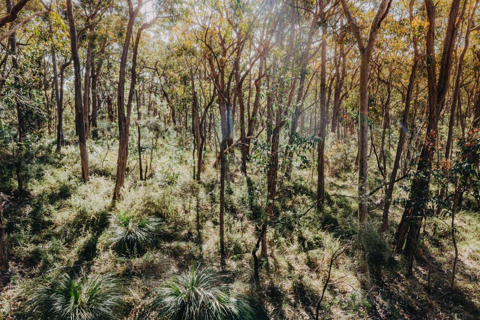 Additional image 15 of 23 Uffington Road, Duns Creek NSW 2321