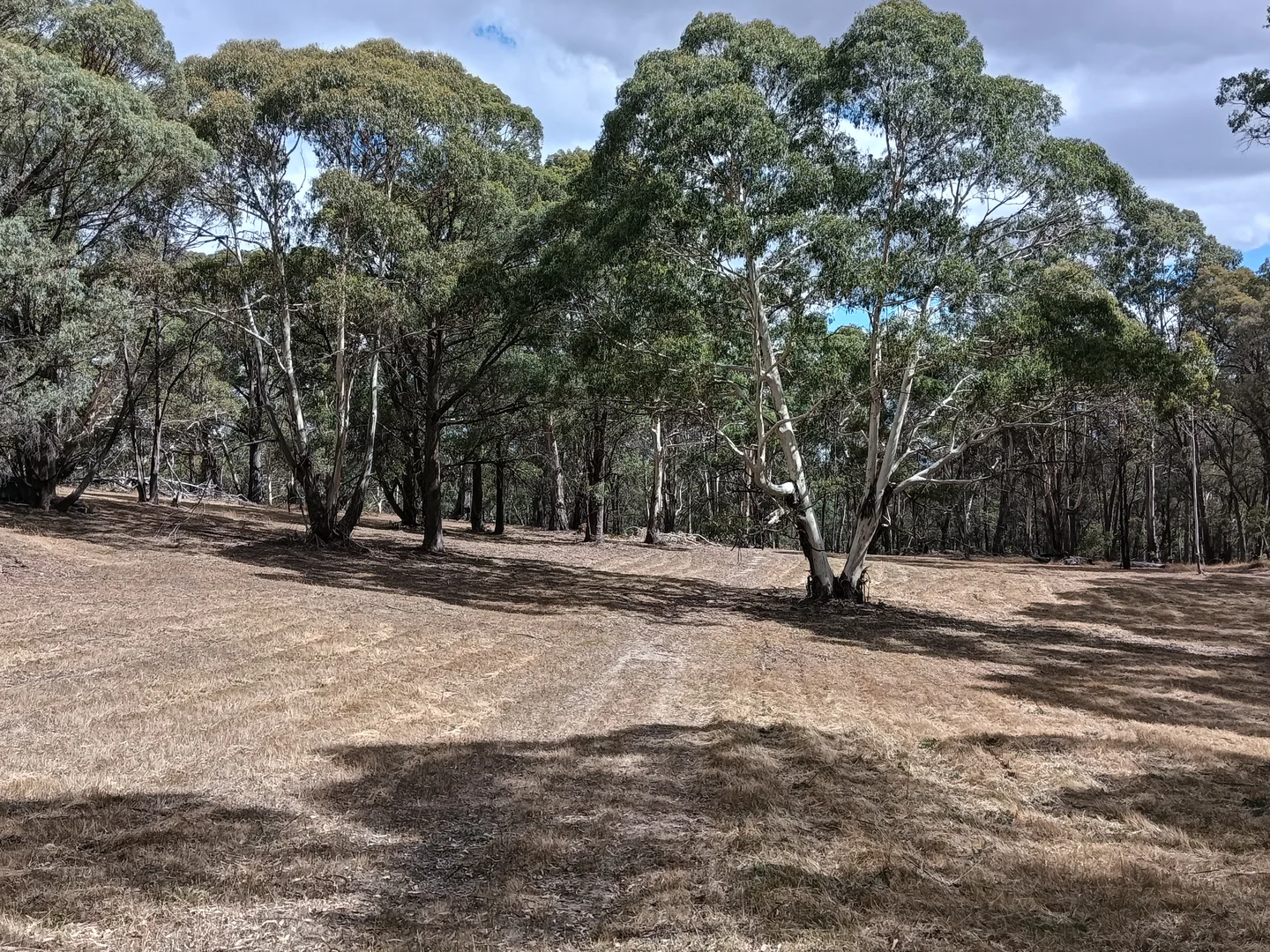 Additional image 30 of Strathbogie VIC 3666