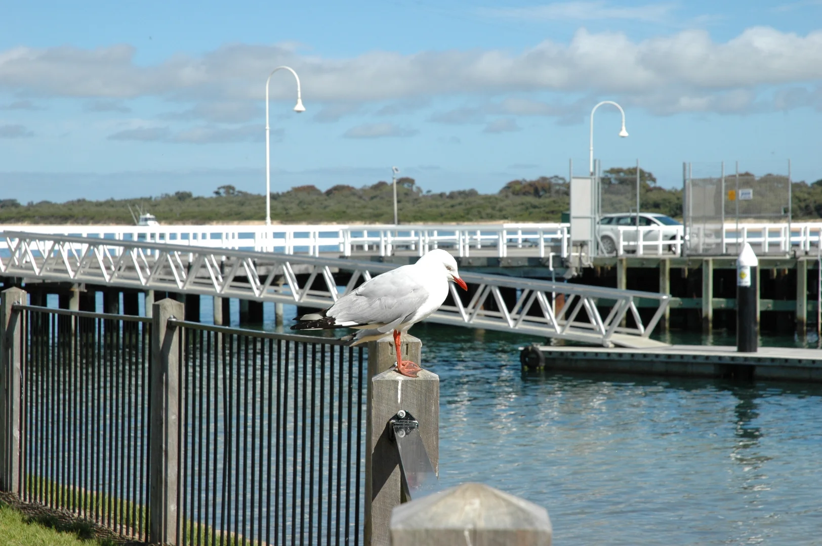Additional image 7 of 13B Elevation Crescent, San Remo VIC 3925