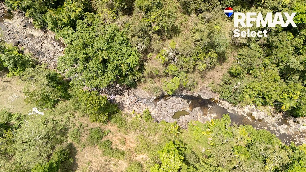 Additional image 36 of 177 Harris Road, Owens Creek QLD 4741