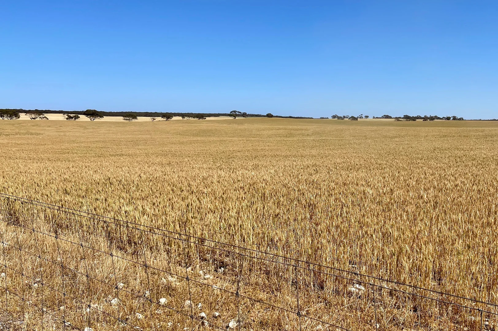 Additional image 21 of 163 McAskill Road, Karkoo SA 5632