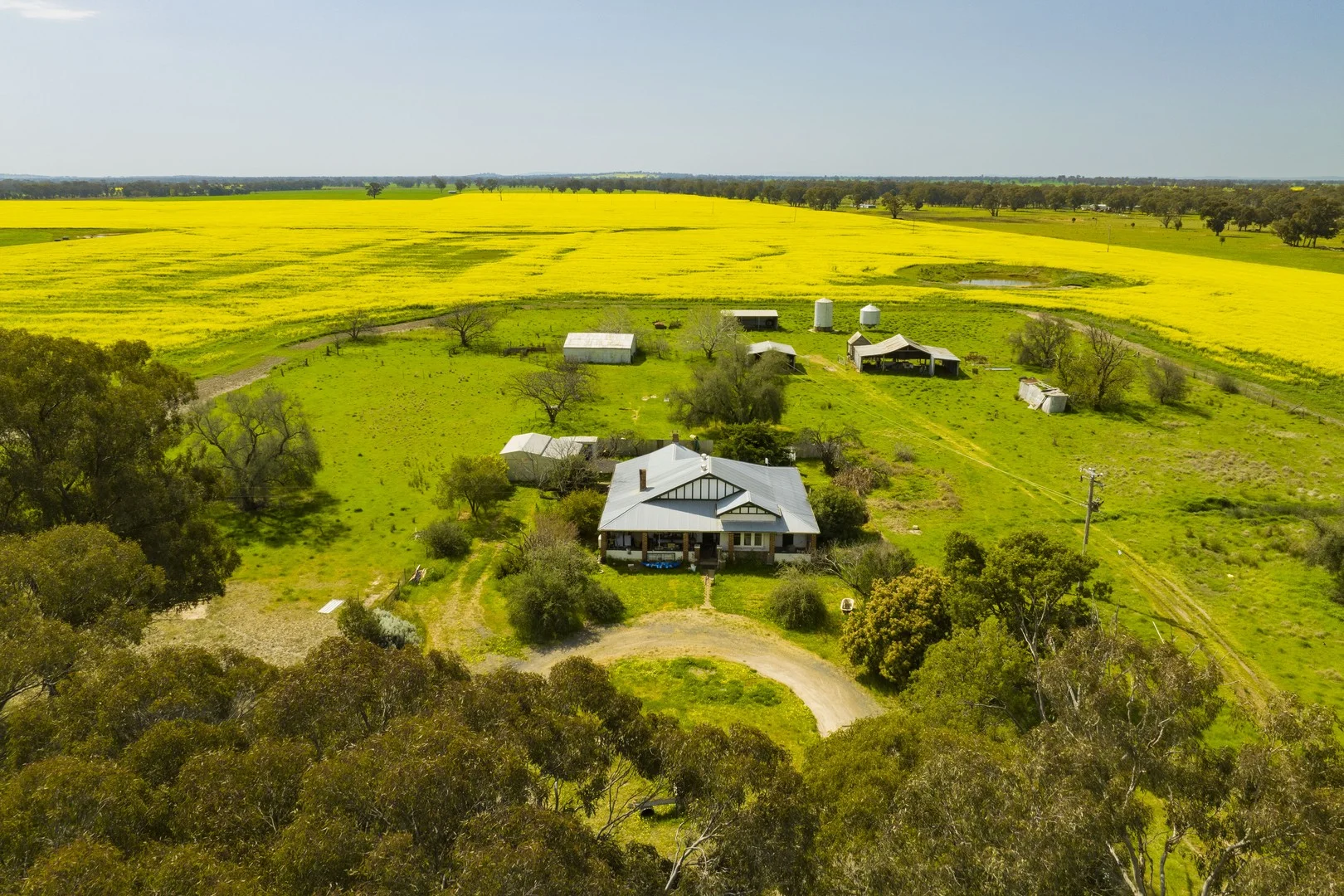 93 Racecourse Lane, Stockinbingal NSW 2725