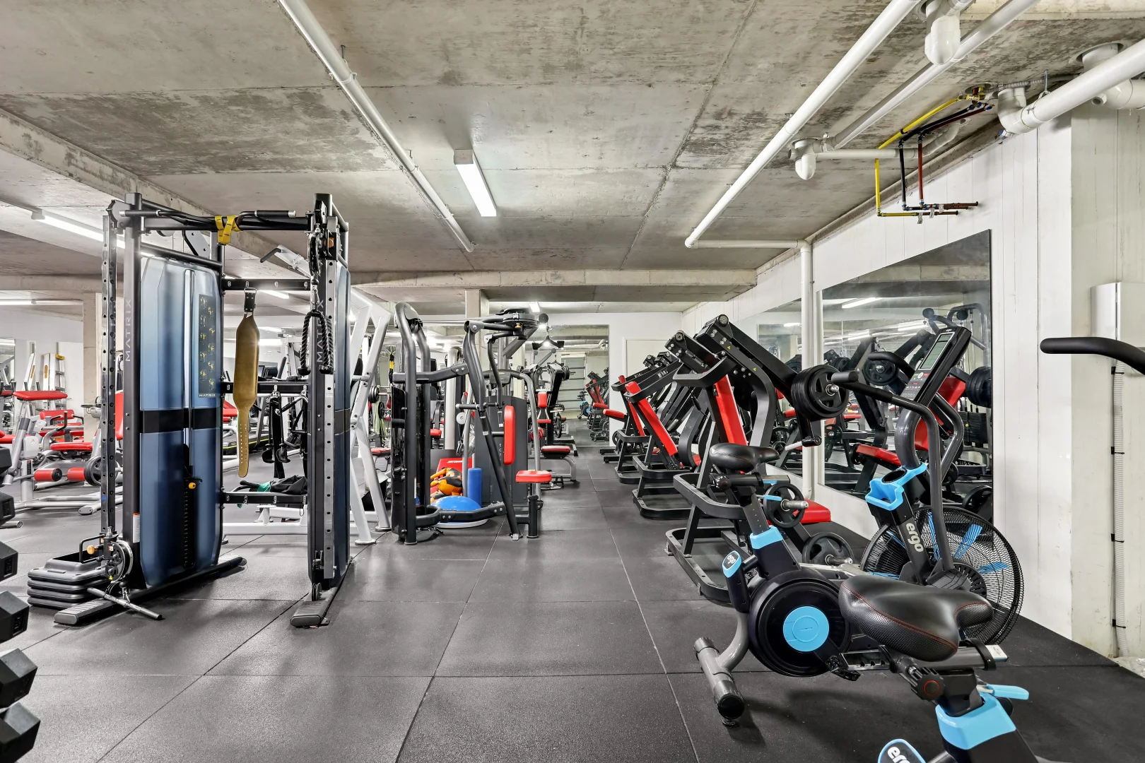 Additional image 9 of 54 Mons Street, Lidcombe NSW 2141