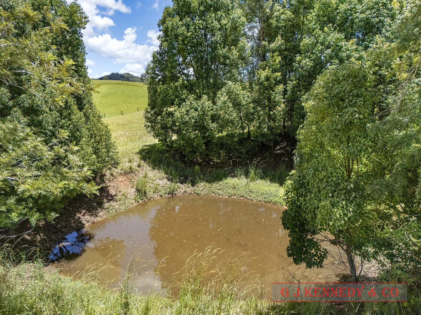 Additional image 19 of 319 North Arm Rd, Argents Hill NSW 2449