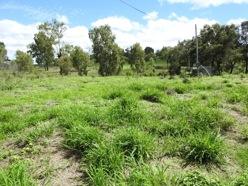 Additional image 35 of Flinders Highway, Breddan QLD 4820