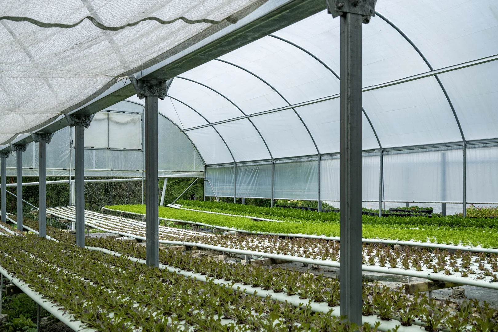 Additional image 2 of 44 Glen Nathan Court, Mount Nathan QLD 4211