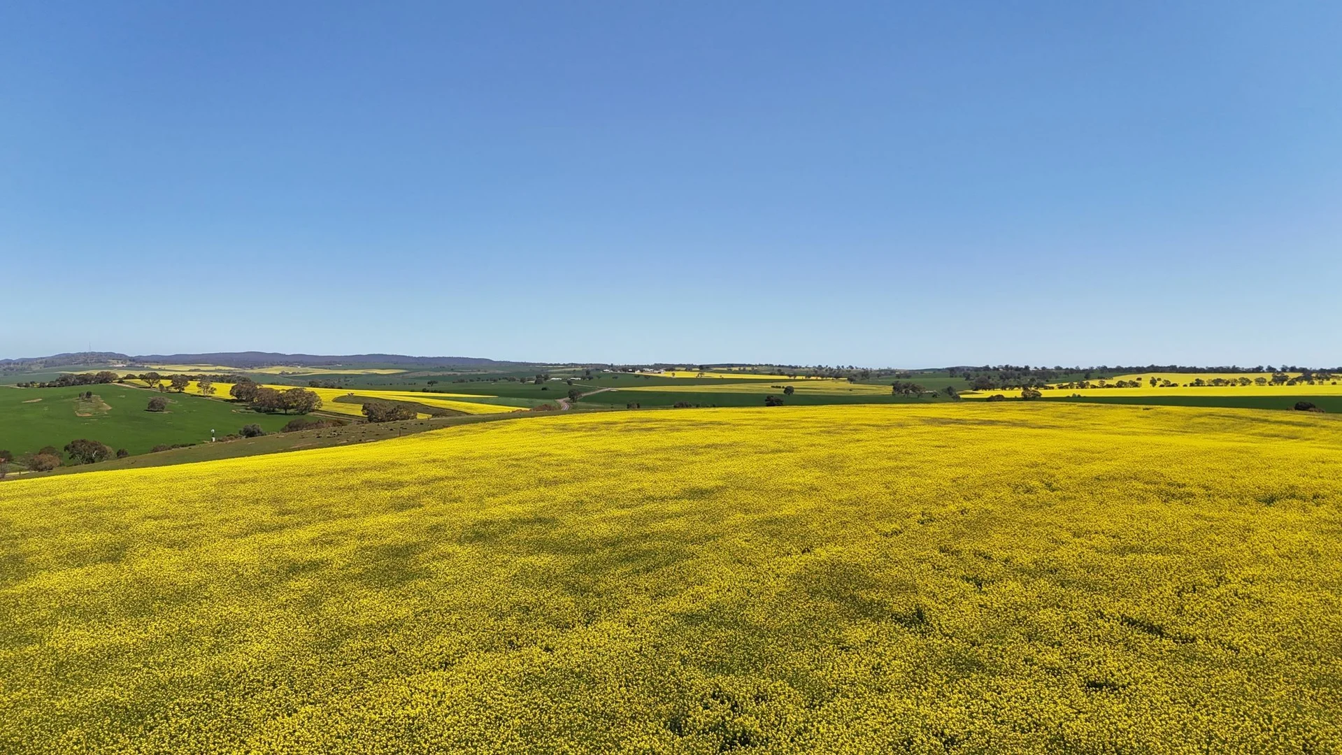 Additional image 16 of 'Ryans' Archie Road, Murray Town SA 5481
