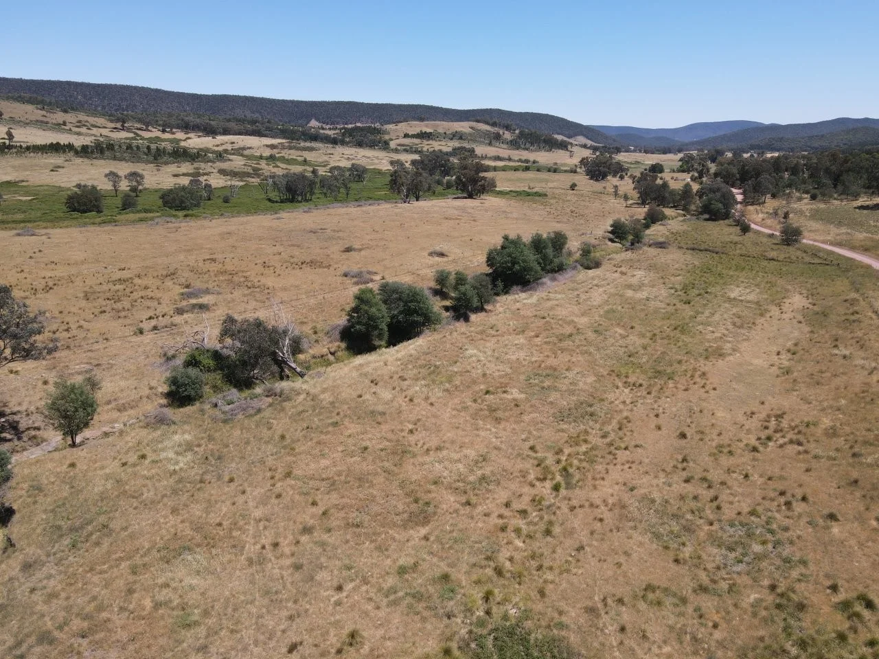 Additional image 31 of "Abercorn", 2154 Kangarooby Road, Gooloogong NSW 2805