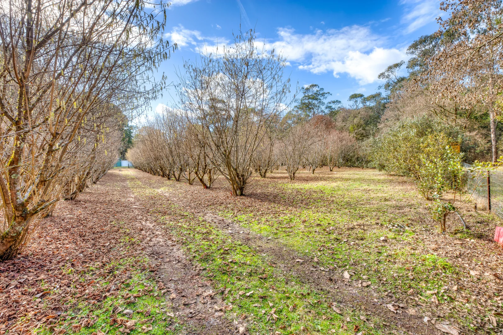 Additional image 11 of 828 Morses Creek Road, Wandiligong VIC 3744