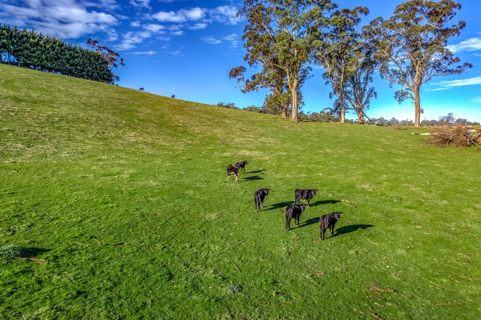 Additional image 3 of 91 Mountain View- McDonalds Track, Mountain View VIC 3988